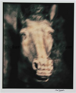 Image description is not available for 2018.125